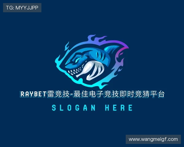 解读雷竞技Raybet